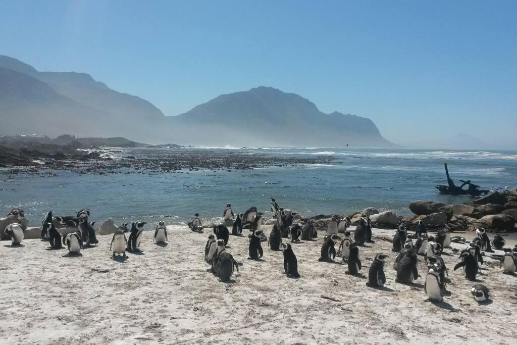 Heaven'S Door Villa Bettys Bay Bagian luar foto